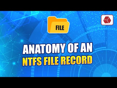 Anatomy of an NTFS FILE Record - Windows File System Forensics