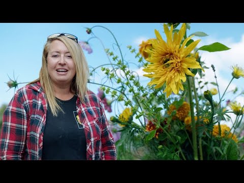 Her You-Pick Flower Farm Was PROFITABLE After One Month