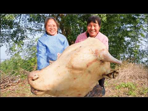 Cooking in the WILD! 550KG Bull's Head in Bamboo Forest