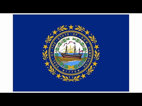 🇺🇸 DOES YOUR FLAG FAIL? Grey Grades State Flags!