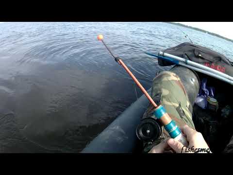 ЛОВЛЯ ЧЕХОНИ С ЛОДКИ НА ВОЛГЕ