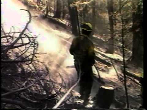 After The Flames And A Year Later