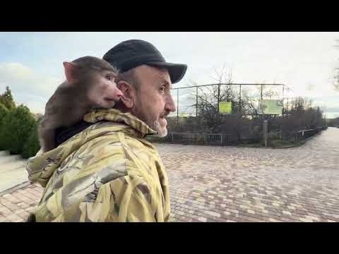 Anfisa is going to meet Lucy's gang😂