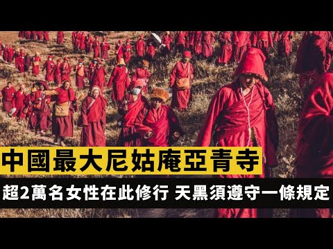 中國最大尼姑庵亞青寺，超2萬名女性在此修行，天黑後必須遵守一條死規定
