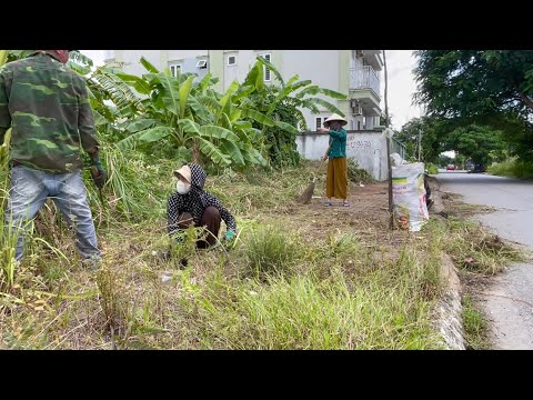 Unbelievable Transformation—We Cleared a Sidewalk That Hid the Street View #cleaning #cleanup