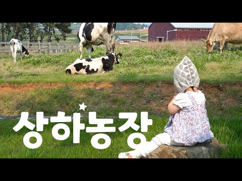 아이와 함께 1박2일 여행 (상하농장)