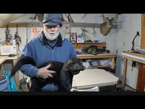 Fisher Trapping -Father and Son