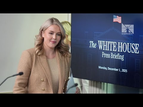 Mother of White House press secretary Karoline Leavitt's nephew released from ICE custody