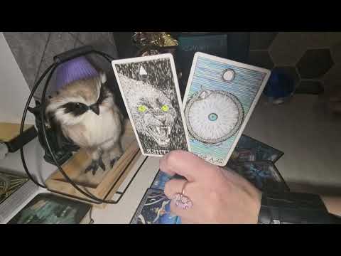 🔥🤦He's raging and throwing tantrums🔥. What's happening to him because of you🔥🤦