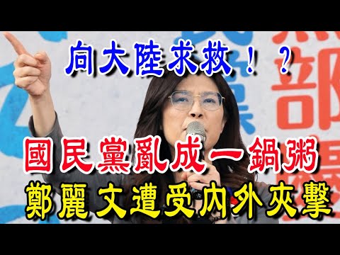 向大陸求救！？國民黨亂成一鍋粥，鄭麗文遭受內外夾擊！賴清德深夜發文，心意已決，2027要做個了斷！| 禪緣道