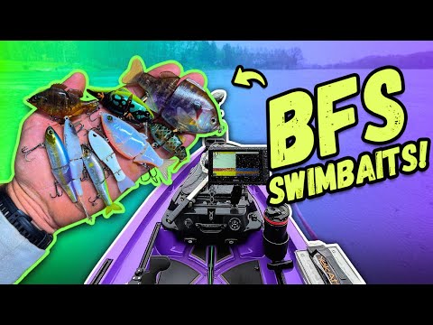 I Fished Every BFS Swimbait I Own… The Results Were INSANE!