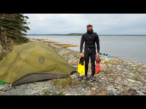 Coastal Foraging and Camping off Nova Scotia - Seals and Scallops!