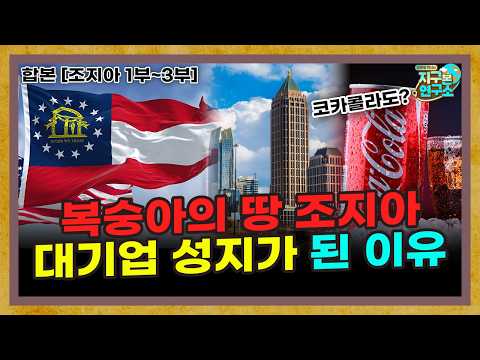 [합본] 복숭아로 먹고살던 조지아, 대기업들의 성지가 된 이유