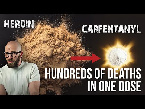 The Deadly Rise of Fentanyl Analogues