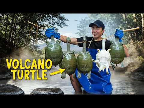 Inside the Hot Spring Turtle Factorys Feeding Japan’s Elite