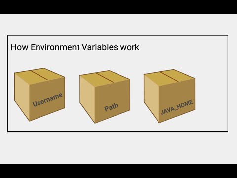 What are environment variables How do they work