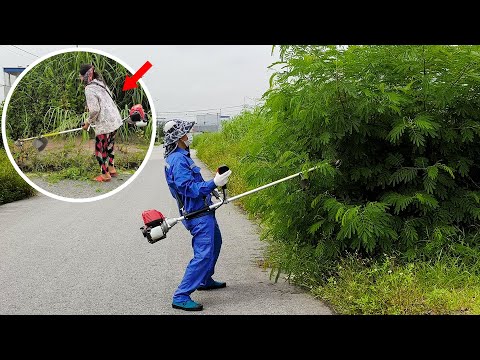 Reviving an Abandoned Sidewalk with the Help of an Old Farmer - The Man Says: " Weeds Are Dangerous"