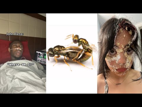 TikToks That Will 100% Make You Laugh 😂