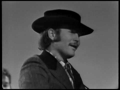 THE BYRDS--SO YOU WANNA BE A ROCK N ROLL STAR---MR.TAMBOURINE MAN---EIGHT MILES HIGH