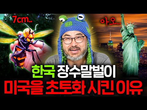 Korean Animals That Confuse the World (Why Foreign Species Can't Survive in Korea...) | Science N...