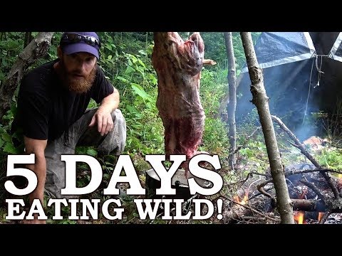 5 DAYS eating ONLY WILD FOODS! The Wilderness Living Survival Challenge - COMPLETE SEASON 2