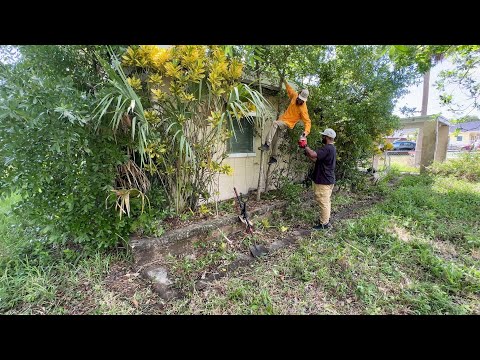 The Code Enforcement SUPERVISOR Found me and told me about house FULL OF VIOLATIONS!!!