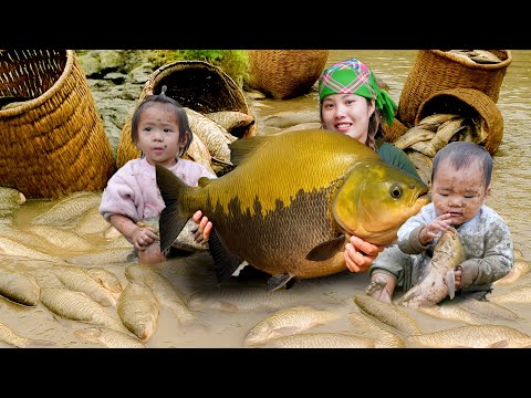 Shocking Catch! Giant School of Fish Trapped on Rainy Day | Family Cooking