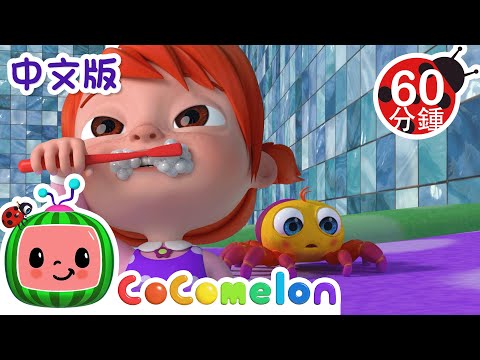 小小蜘蛛 | 大合集 | 經典熱門兒歌 | Kids Song | 動畫 | 童謠 | 儿童学习 | 卡通片 | CoComelon 中文 | Nursery Rhymes