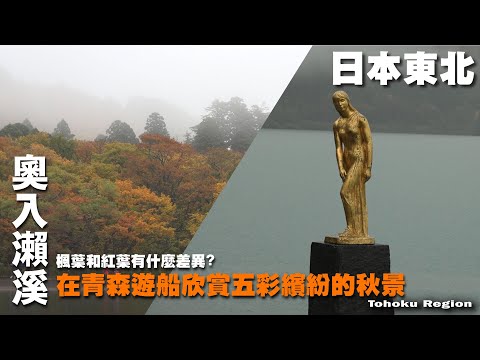 千變萬化的河流形象都在奧入瀨溪！來東北遊船賞秋季美景　~ 到日本東北旅遊囉 ~  函館山｜夜景｜金森｜青森｜蘋果｜十二湖散策 Tohoku Region / Hokkaido