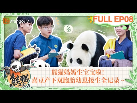 MULTI SUB｜生宝宝啦！喜豆产下双胞胎幼崽接生全记录～ 熊猫妈妈盼青感人护崽！｜《熊猫一家人Panda‘s Family》｜EP08｜MangoTV
