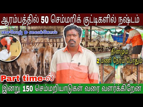1.5 lakh monthly income in sheep farming | 4-5kg weight per month | 90 days farming | tamil