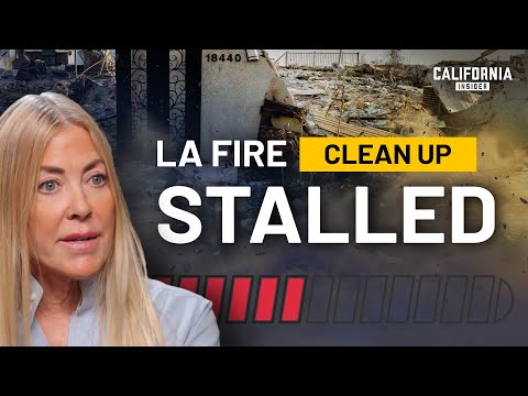 US Army Corps Exits LA Fires Cleanup Effort — What’s Next? | Elaine Culotti