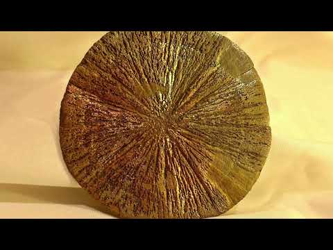 Complex Life May Have Appeared on Earth More Than Once