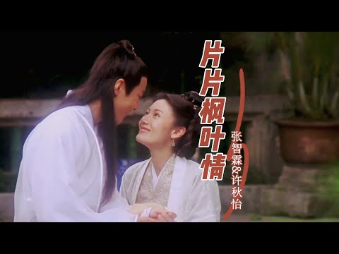 张智霖和许秋怡一首好听的对唱情歌《片片枫叶情》歌声深情醉人，勾起满满的回忆