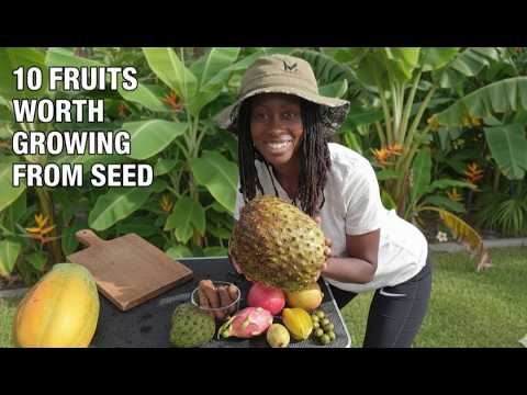 10 Fruit Trees You CAN Grow From Seed - Which to SKIP 🤔