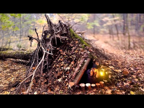 Building a Secret Survival Shelter Under OAK Root with Fireplace Deep Inside a Tree | Bushcraft