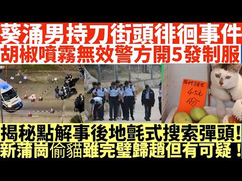 葵涌男持刀街頭徘徊事件|胡椒噴霧無效警方開5發制服|揭秘點解事後地氈式搜索彈頭!|新蒲崗偷貓雖完璧歸趙但有可疑!|井仔點睇 #葵涌男持刀街頭徘徊 #一度封青山公路部份行車線 #大批PTU地毯式搜索