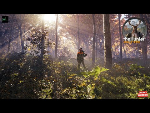 🔴LIVE - Going for the Tiger | theHunter: Call of the Wild