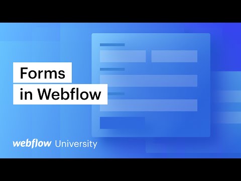 Fundamentals of Forms in Webflow – Webflow tutorial