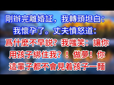 【完結】剛辦完離婚証，我轉頭坦白：我懷孕了。丈夫憤怒道：爲什麼不早説？！我嗤笑：讓你用孩子綁住我？！做夢！你這輩子都不會見着孩子一麵