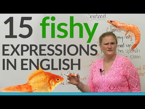 15 Fishy Expressions in English