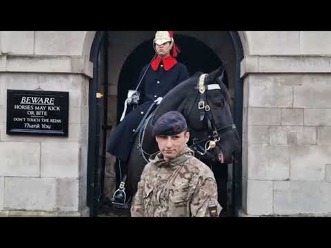 Get behind the bollards don't ignore me is that your bag #horseguardsparade
