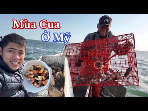 Early Season Crab Trap in Seadrift Texas