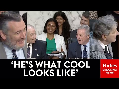Laughter Breaks Out As Ted Cruz, John Kennedy Pay Respects To Retiring Dick Durbin