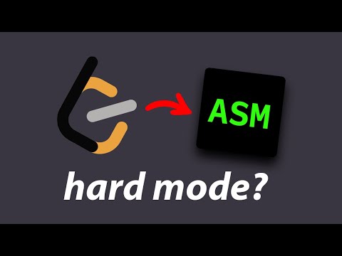 i tried LeetCode in assembly