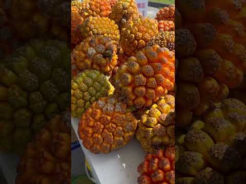 #味留 #料理中的料理人 #郭宗坤 #chef_kzk