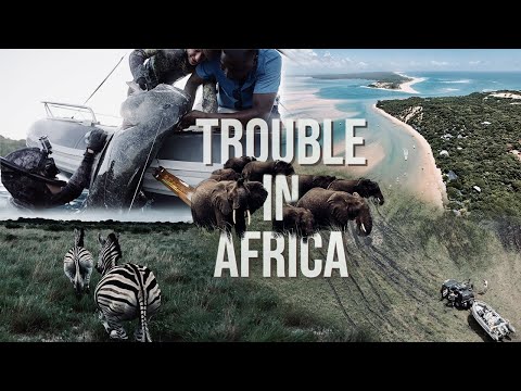 Spearfishing in Mozambique: A Thrilling but Epic Adventure Through Africa