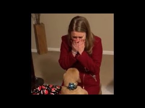 Puppy Surprise COMPILATION !!