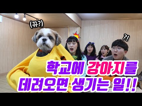 29화- 학교에 강아지를 몰래 데려오면 생기는 일!!(ft.까비콩이)
