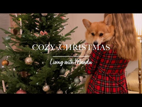 🎁 Ready for Christmas 🎄 | Living alone in Sweden vlog